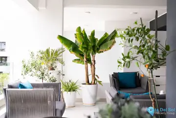 2 bedroom Apartment for Sale in Estepona-81981