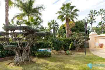 2 bedroom Apartment for Sale in Puerto Banús-18586
