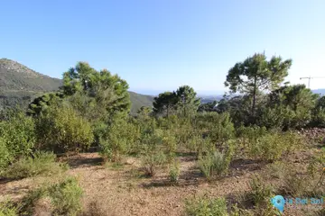 2275m2 Plot for Sale in Benahavís