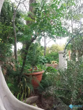 5 bedroom House for Sale in Torremolinos-20084