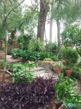 5 bedroom House for Sale in Torremolinos-20080