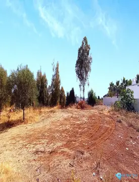 1350m2 Plot for Sale in La Quinta-103517