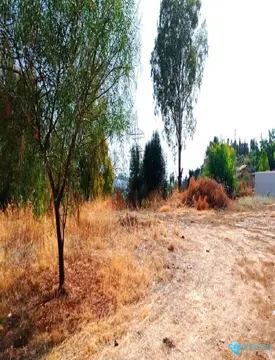 1350m2 Plot for Sale in La Quinta-103518