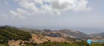 4300m2 Plot for Sale in Benahavís-89279