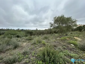 2920m2 Plot for Sale in Sotogrande Alto-87092