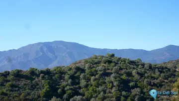 2957m2 Plot for Sale in Estepona-87477