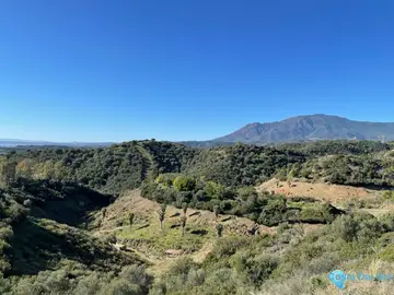 2957m2 Plot for Sale in Estepona-87478