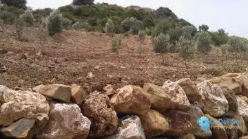 27176m2 Plot for Sale in Estepona-87855
