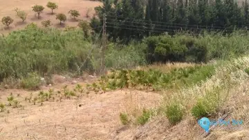 27176m2 Plot for Sale in Estepona-87856