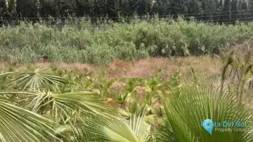 27176m2 Plot for Sale in Estepona-87857