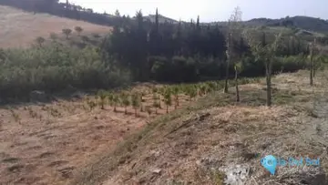 27176m2 Plot for Sale in Estepona-87860