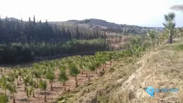 27176m2 Plot for Sale in Estepona-87862