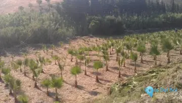 27176m2 Plot for Sale in Estepona-87863
