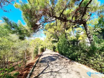 3000m2 Plot for Sale in El Madroñal-21840