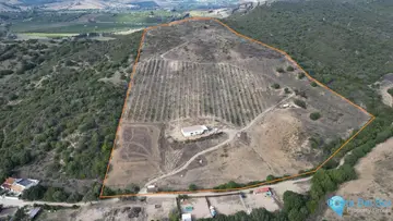 100565m2 Plot for Sale in Manilva-22809