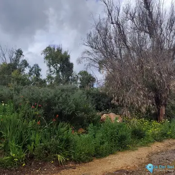 4000m2 Plot for Sale in Manilva-22885