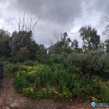 4000m2 Plot for Sale in Manilva-22883