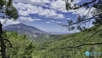 645960m2 Plot for Sale in Coín
