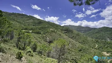 645960m2 Plot for Sale in Coín-23482