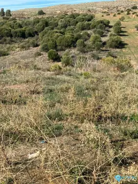 925m2 Plot for Sale in Guadalmina Alta-23610