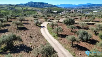 8944m2 Plot for Sale in Alora