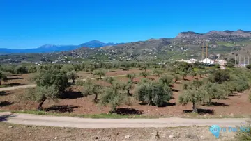 8944m2 Plot for Sale in Alora-23624