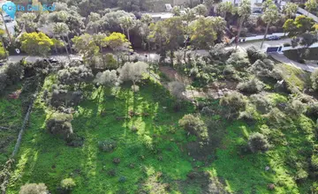 3000m2 Plot for Sale in Sotogrande-210