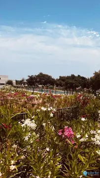 5 bedroom Apartment for Sale in Sotogrande