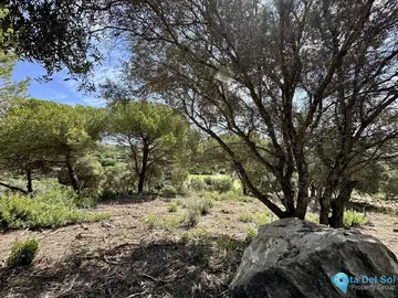 3455m2 Plot for Sale in Sotogrande-26413