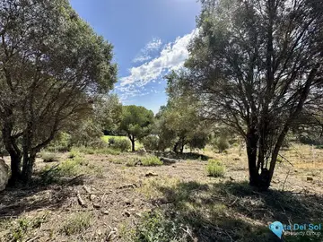 3455m2 Plot for Sale in Sotogrande-26419