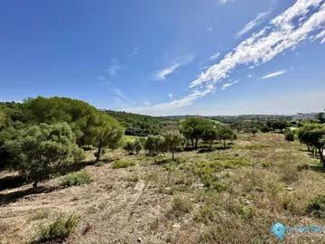 3455m2 Plot for Sale in Sotogrande-26423