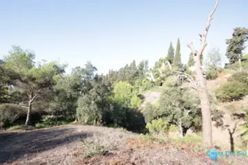 4100m2 Plot for Sale in Hacienda Las Chapas-88339