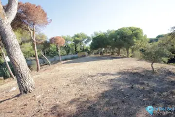 4100m2 Plot for Sale in Hacienda Las Chapas-88340