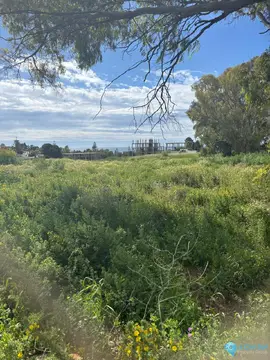 1401m2 Plot for Sale in Cancelada
