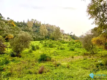 5185m2 Plot for Sale in Benahavís