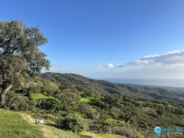 34000m2 Plot for Sale in La Mairena-27815