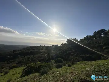 34000m2 Plot for Sale in La Mairena-27817