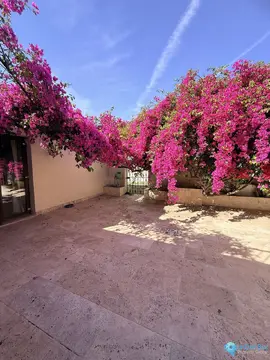 3 bedroom House for Sale in Bel Air-28141