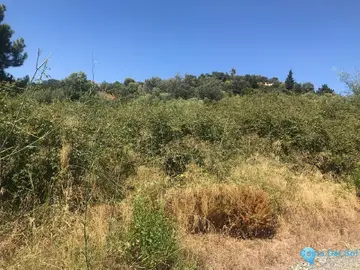 27265m2 Plot for Sale in Estepona-28918