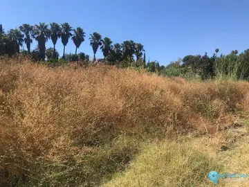 27265m2 Plot for Sale in Estepona-28919