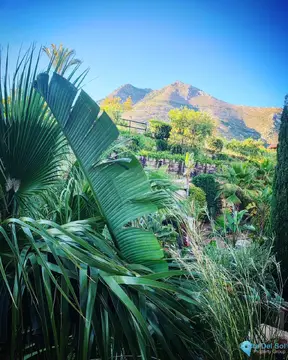 7200m2 Plot for Sale in Benalmadena-29589