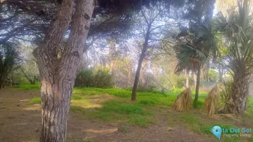 1933m2 Plot for Sale in Hacienda Las Chapas-29606