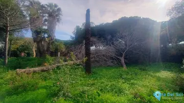 1933m2 Plot for Sale in Hacienda Las Chapas-29614
