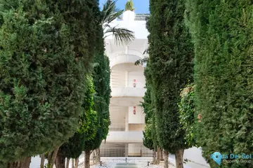 3 bedroom Apartment for Sale in The Golden Mile-30249