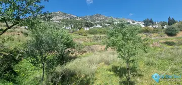17340m2 Plot for Sale in Mijas-31119