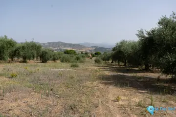 25510m2 Plot for Sale in Alhaurín de la Torre-32369