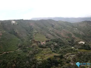 590195m2 Plot for Sale in Estepona-32494