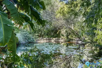 4 bedroom Apartment for Sale in Guadalmina Baja-33621