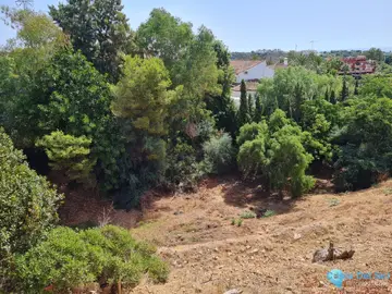 1500m2 Plot for Sale in Hacienda Las Chapas-101198