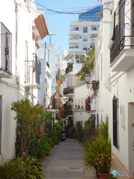 6 bedroom House for Sale in Marbella-34925